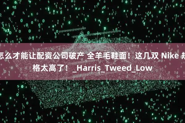 怎么才能让配资公司破产 全羊毛鞋面！这几双 Nike 规格太高了！_Harris_Tweed_Low