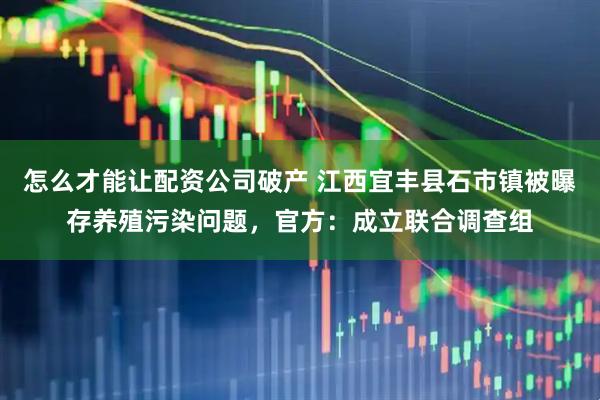 怎么才能让配资公司破产 江西宜丰县石市镇被曝存养殖污染问题，官方：成立联合调查组