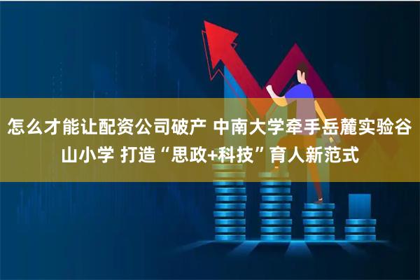 怎么才能让配资公司破产 中南大学牵手岳麓实验谷山小学 打造“思政+科技”育人新范式