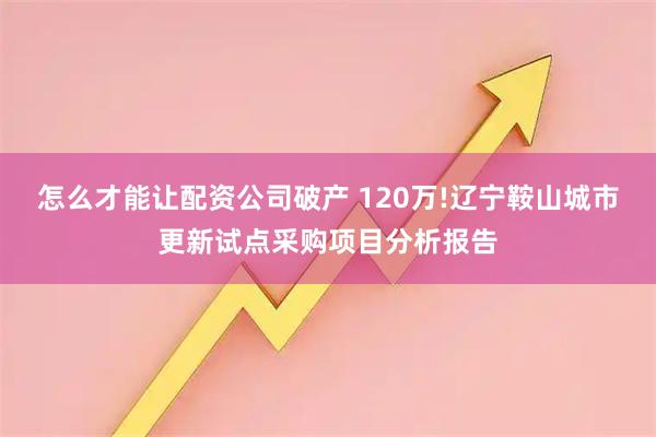 怎么才能让配资公司破产 120万!辽宁鞍山城市更新试点采购项目分析报告